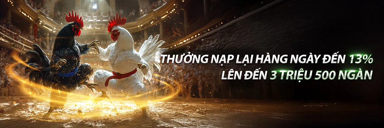 Hình ảnh đá gà trực tuyến vclub