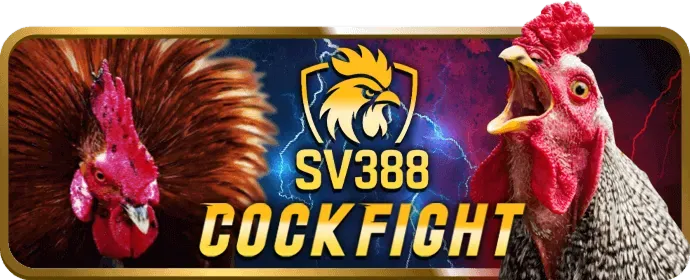 Cấp độ VIP Bạch Kim của vclub trang chủ chính thức